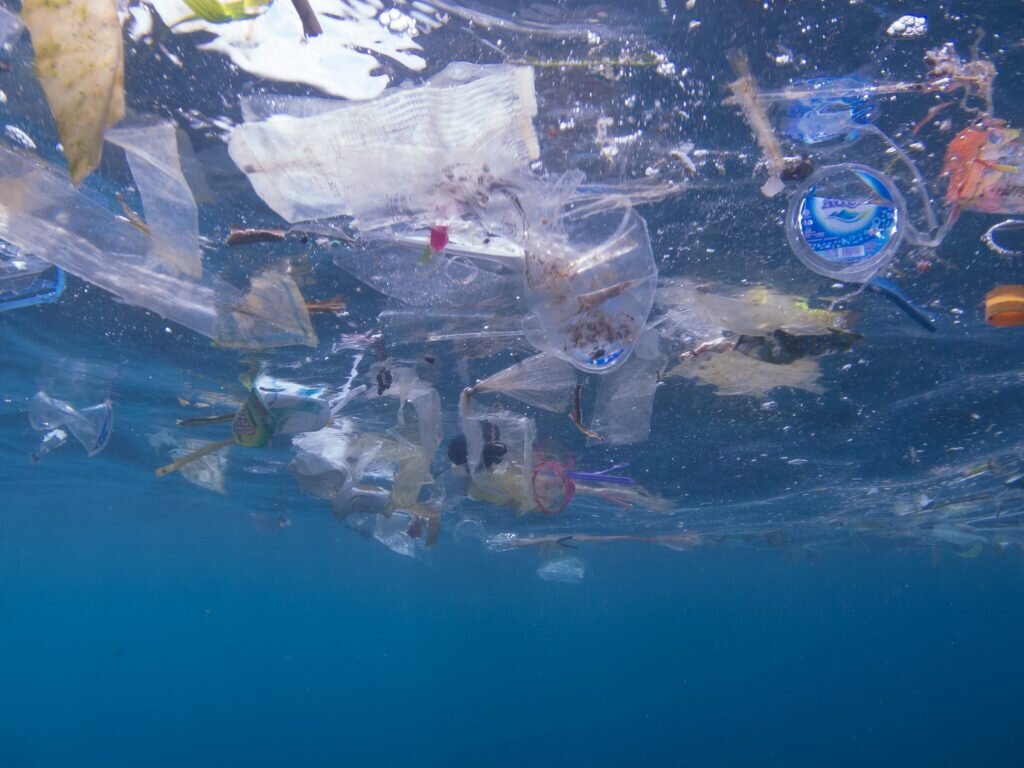 Plastic pollution litters the manta ray feeding grounds in Nusa Penida