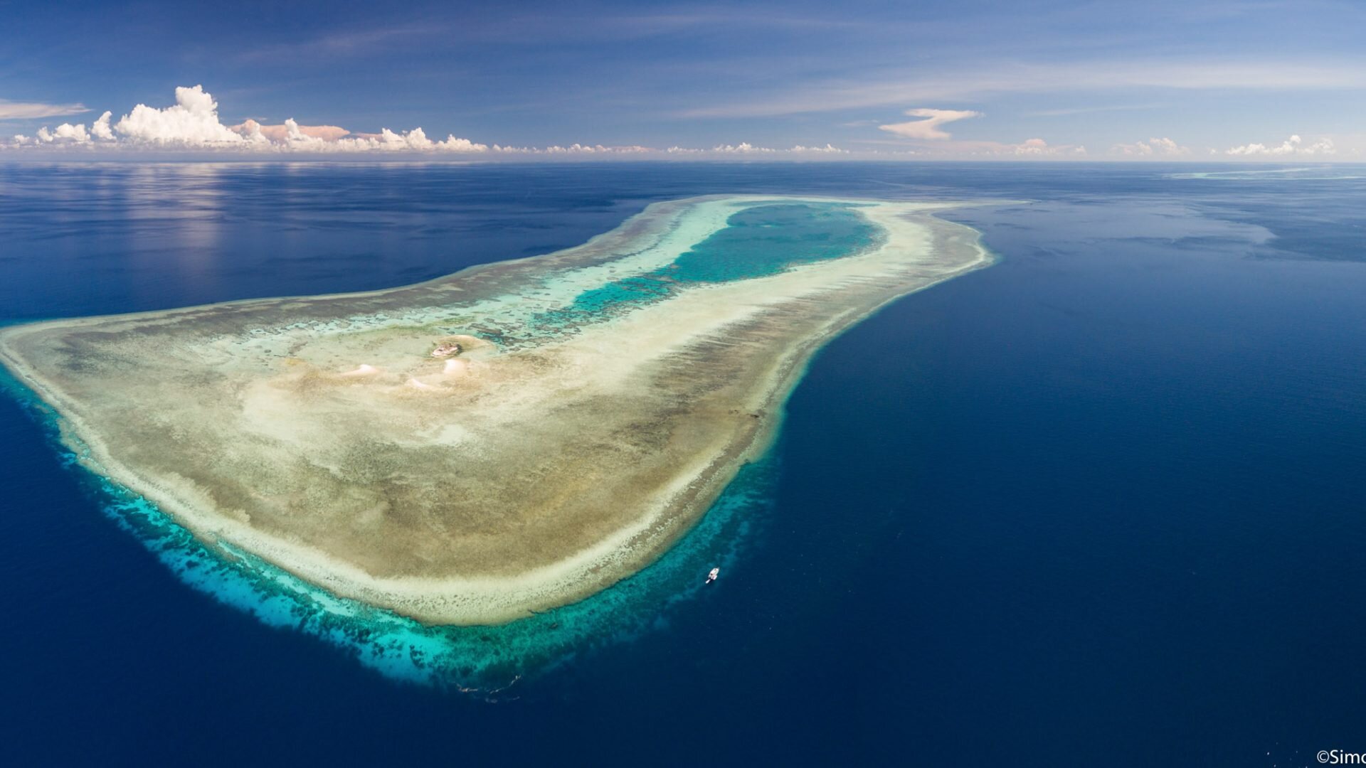 Tubbataha Shark Monitoring (completed)