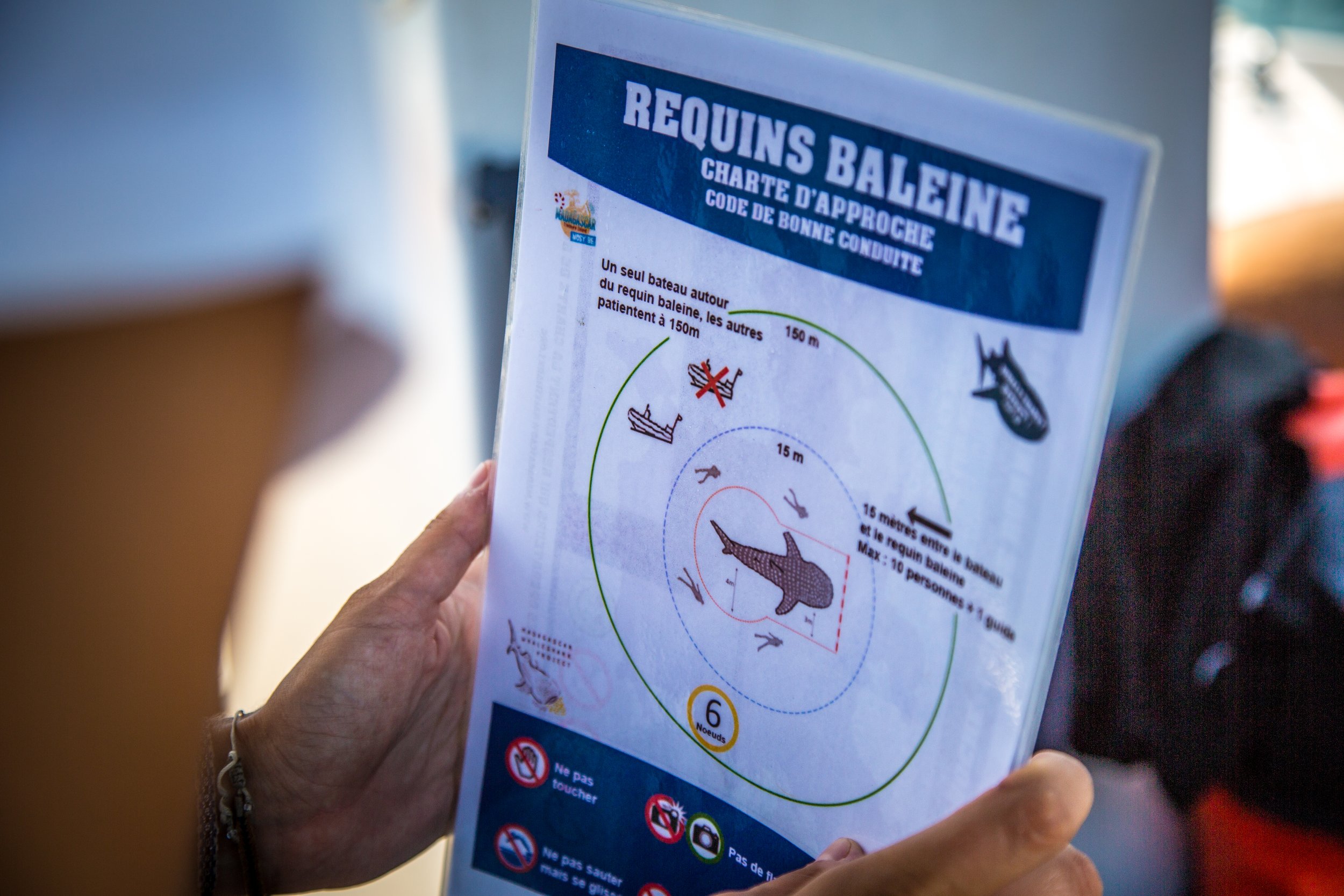 A whale shark code of conduct sheet held up on a boat