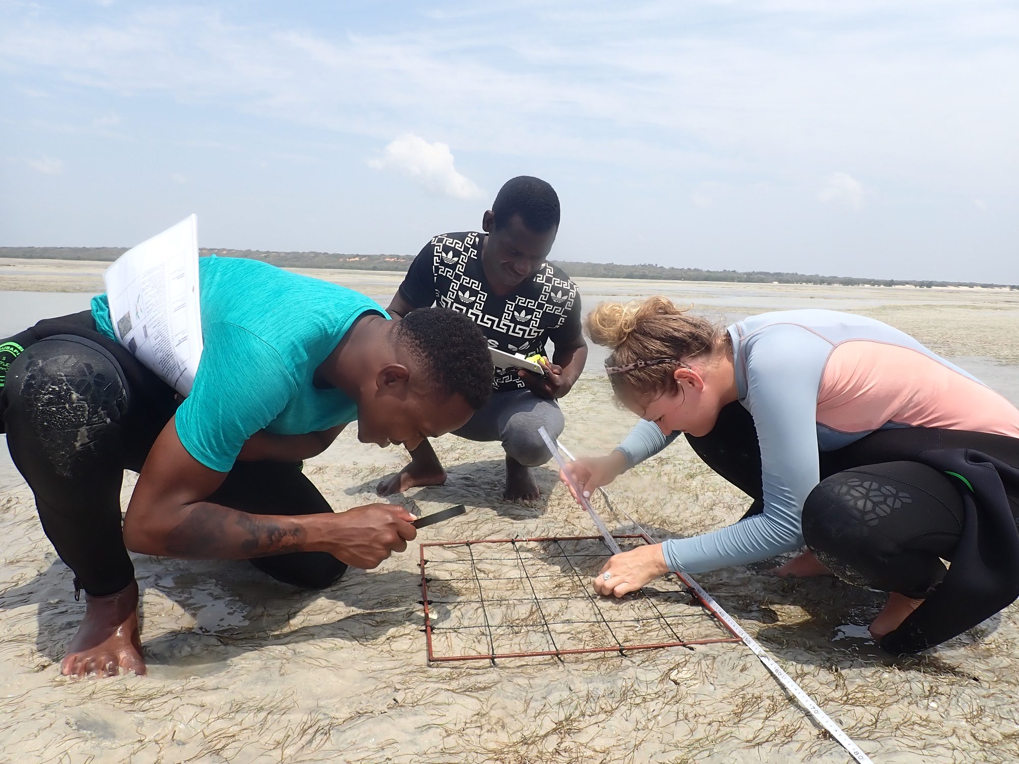 MMF and community researchers record seagrass cover in a quadrat on the intertidal flats near Inhassoro