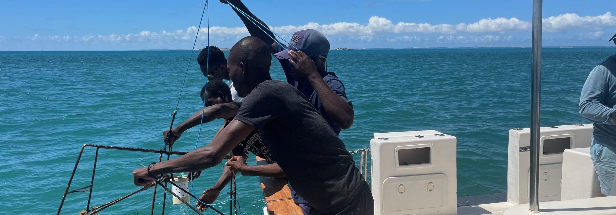 The team lowers a baited remote underwater video camera from a boat off Inhassoro