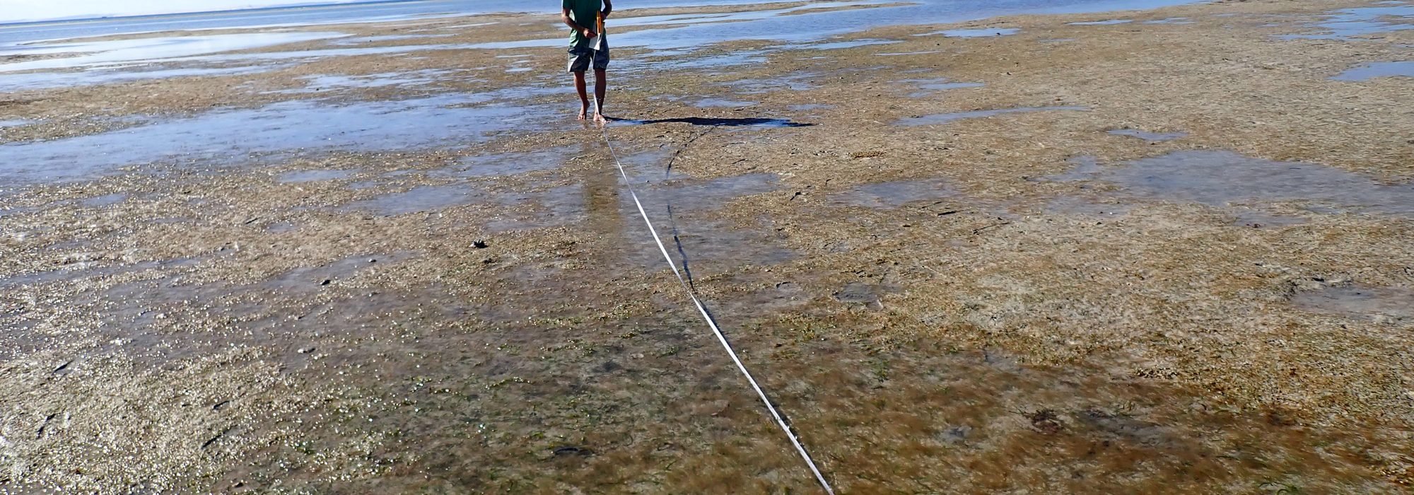 A survey transect runs across seagrass flats exposed at low tide near Inhassoro