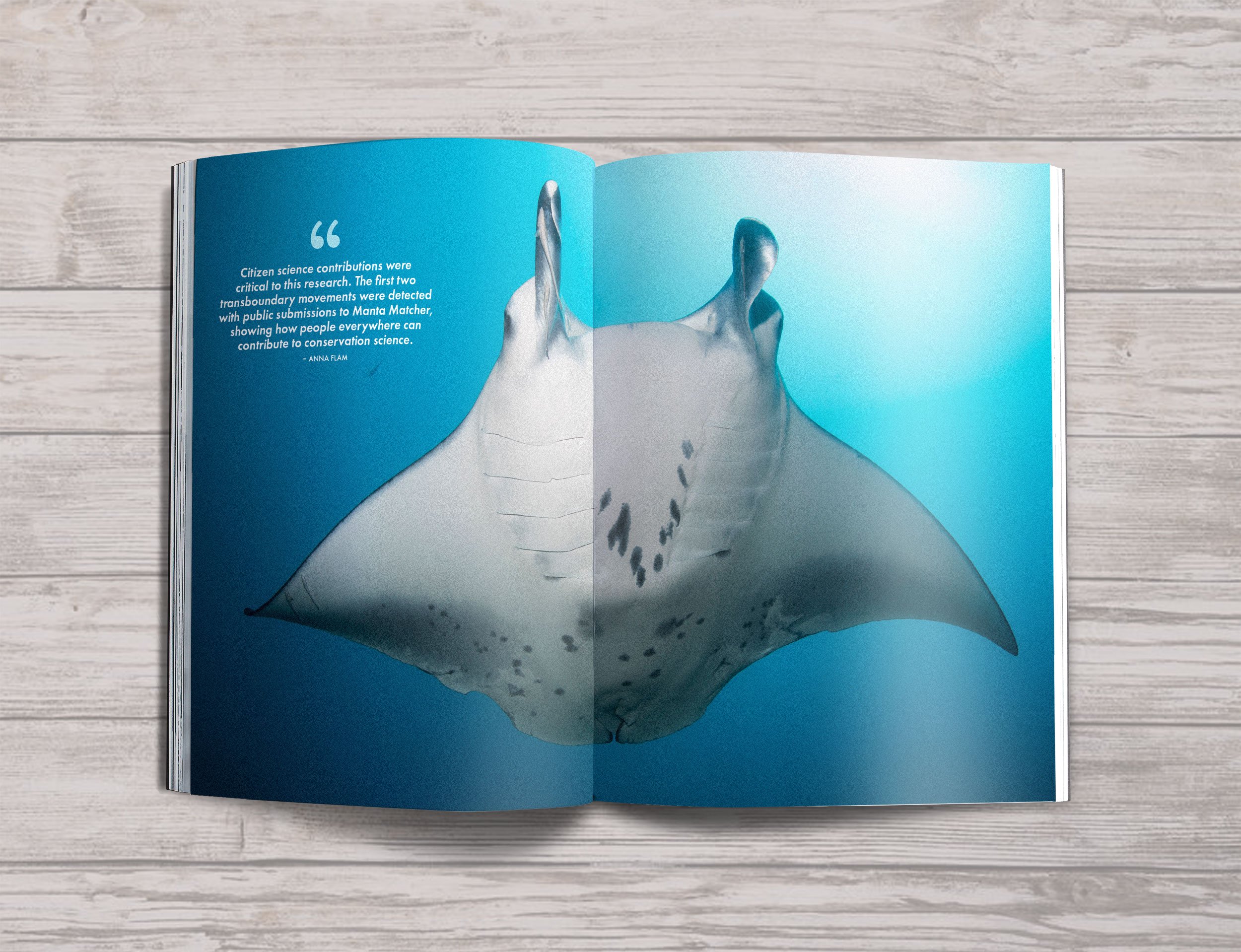 ISSUE-07-Mockups-Mantas-2.jpg