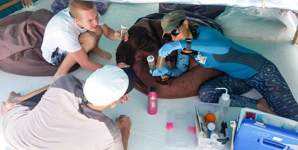 Plankton-microplastics-sampling-Marine-Megafauna-Foundation-2.jpg