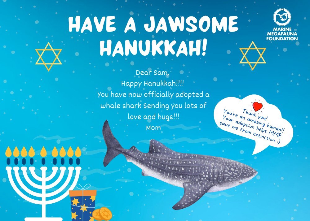 Adopt a whale shark: holiday gift adoption