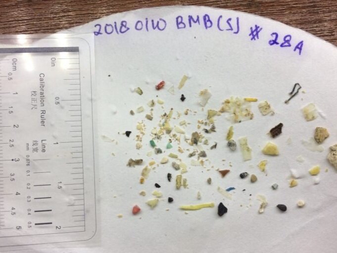 Before separating the microplastics based on their similar characteristics