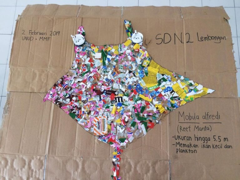 Our manta art result!