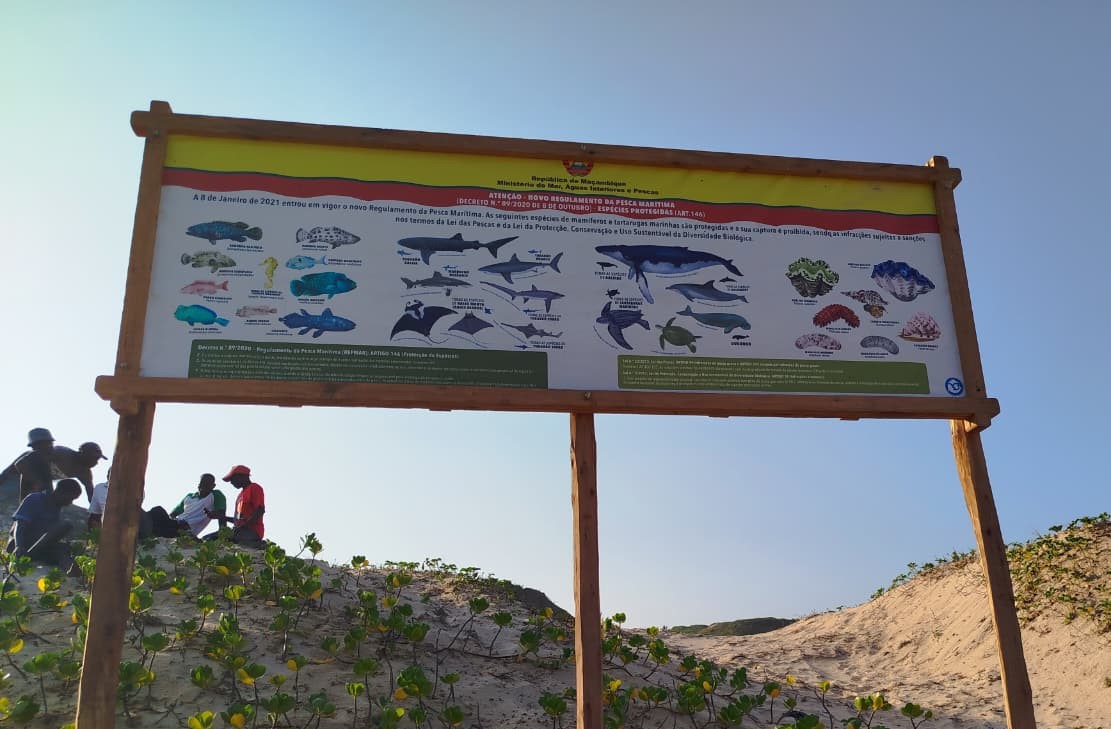 A sign showing protected marine species at a fish landing site near Tofo, Mozambique
