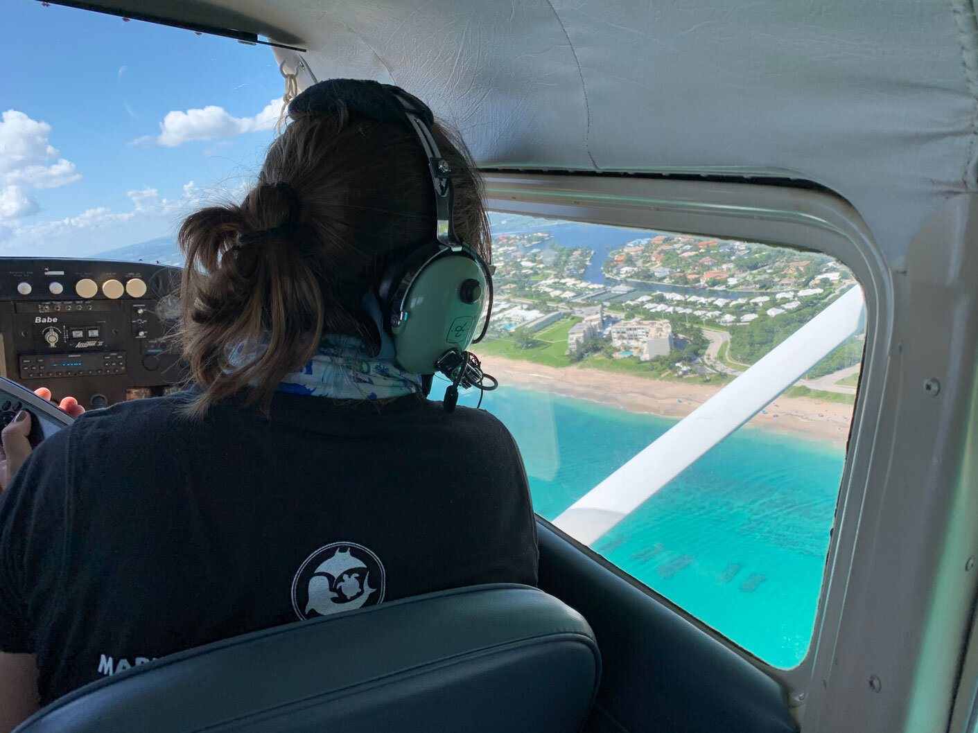 Jessica Pate observing from a light aircraft during an aerial survey off Florida