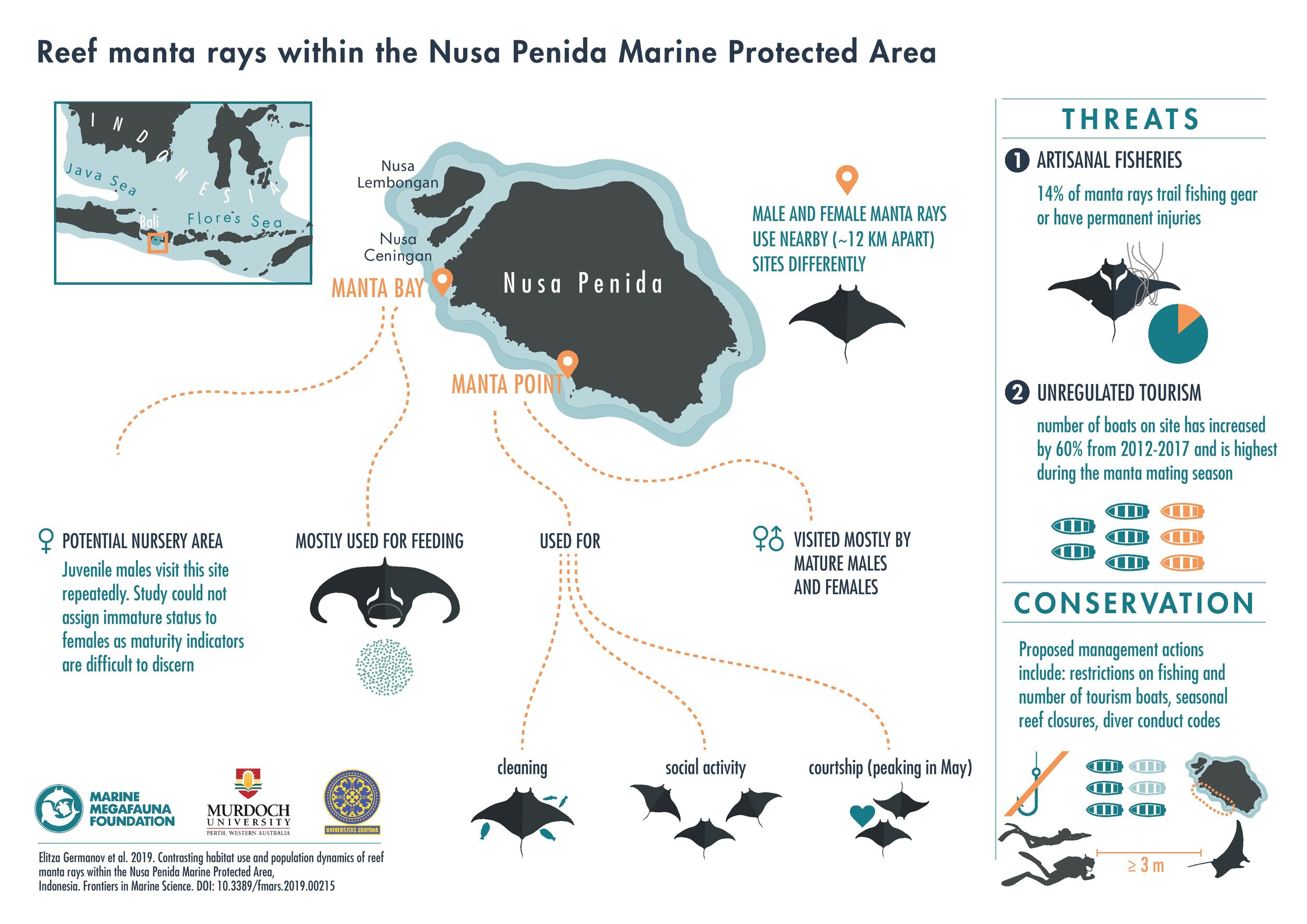 Infographic and illustrations by Giulia de Amicis