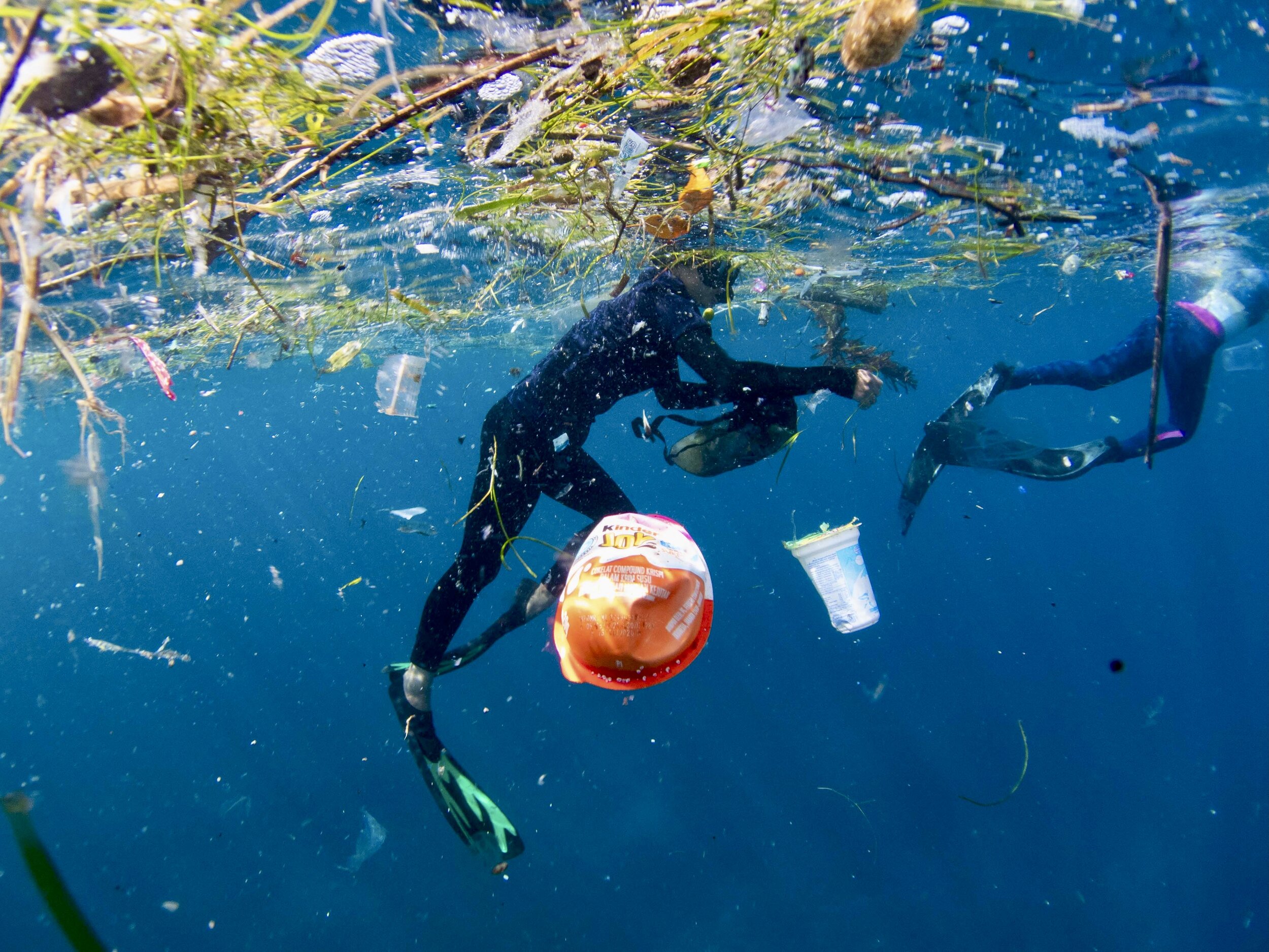Researchers swimming through plastic in Manta Bay, Nusa Penida