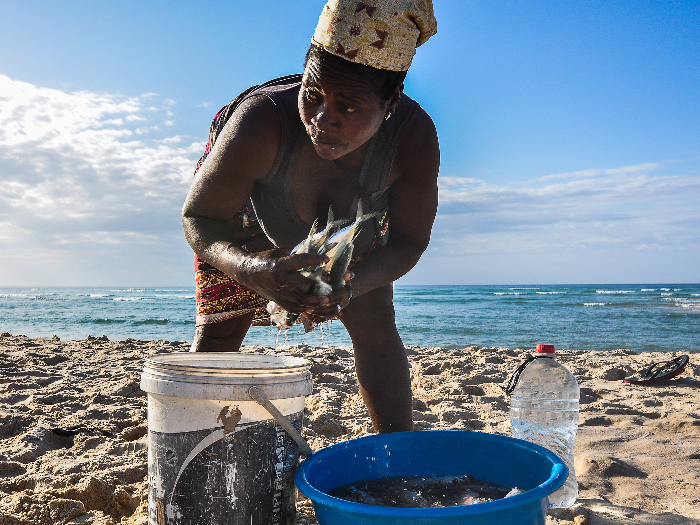 Creating sustainable fisheries.