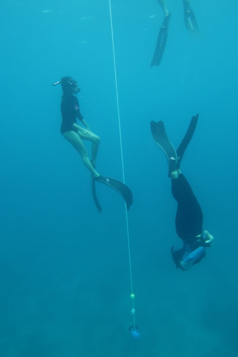 Practicing our freediving skills