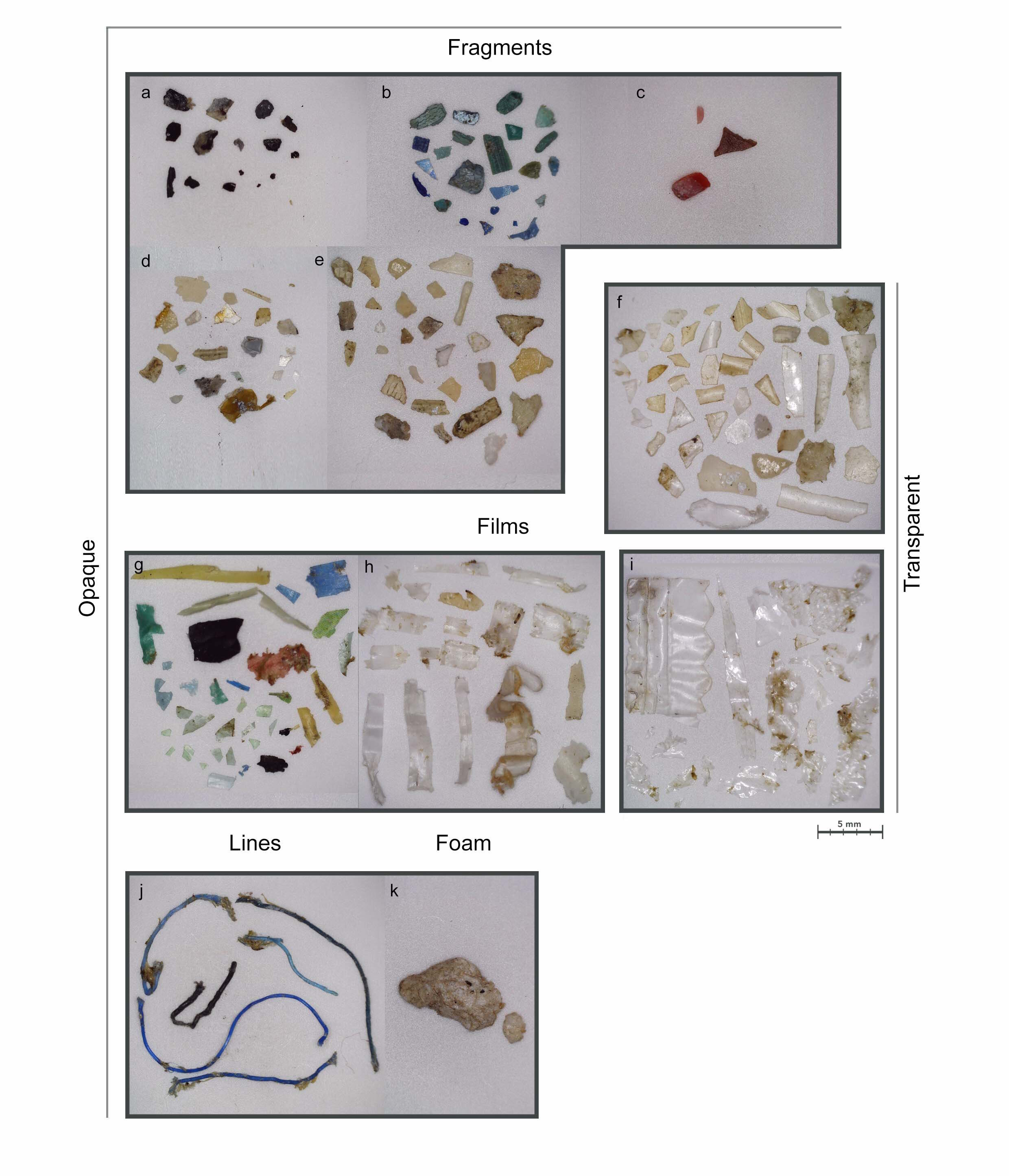 Figure from the study: plastic samples from Nusa Penida sorted into fragments, films, lines, and foam, grouped as opaque or transparent