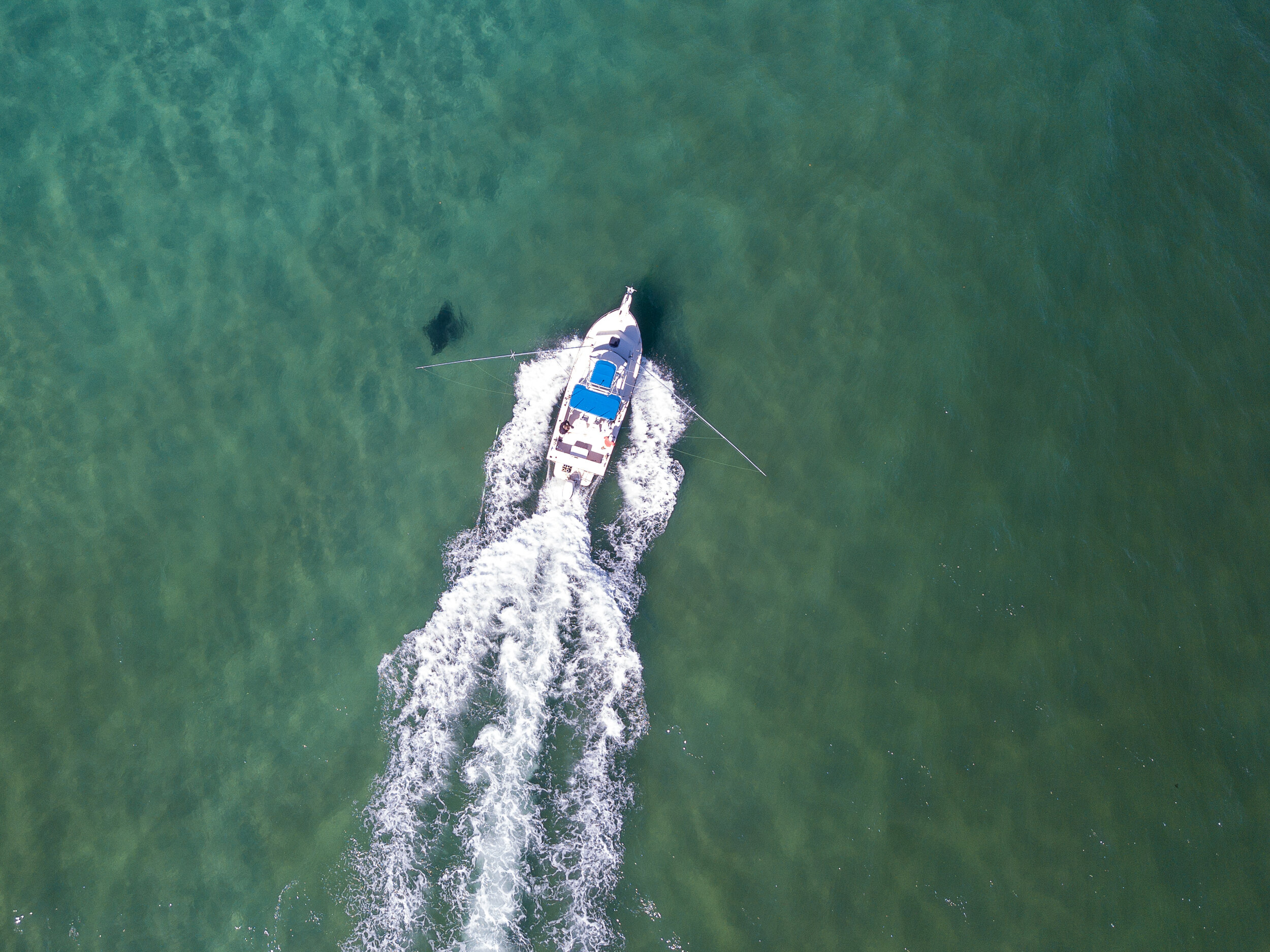 A boat speeds past a manta ray in shallow water, seen from above