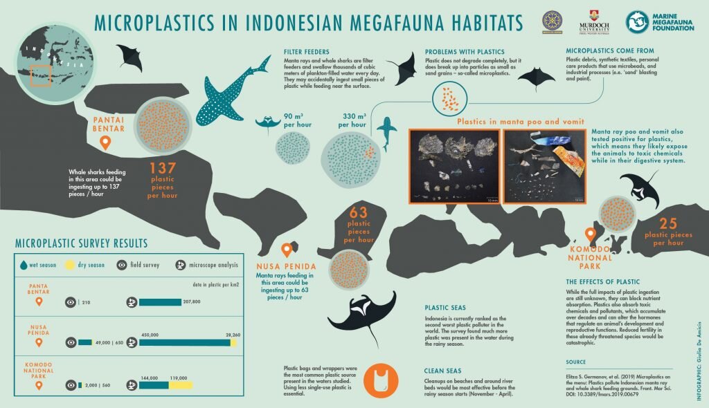 Microplastics-in-Indonesian-megafauna-habitats-Germanov-et-al-2019-1024x590.jpg