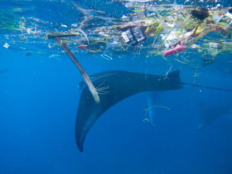 Microplastics-Indonesia-2-768x576.jpg