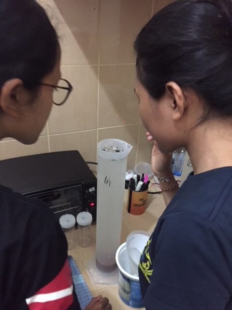 Processing microplastic samples