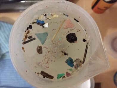 A microplastic sample during processing
