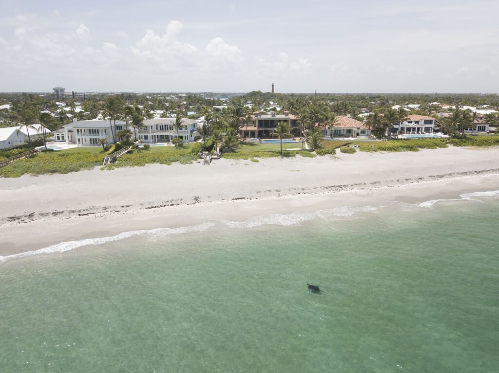 Mansions along Florida’s coastline overlook a potential urban nursery ground for manta rays. (c) Jessica Pate, lead author of the study