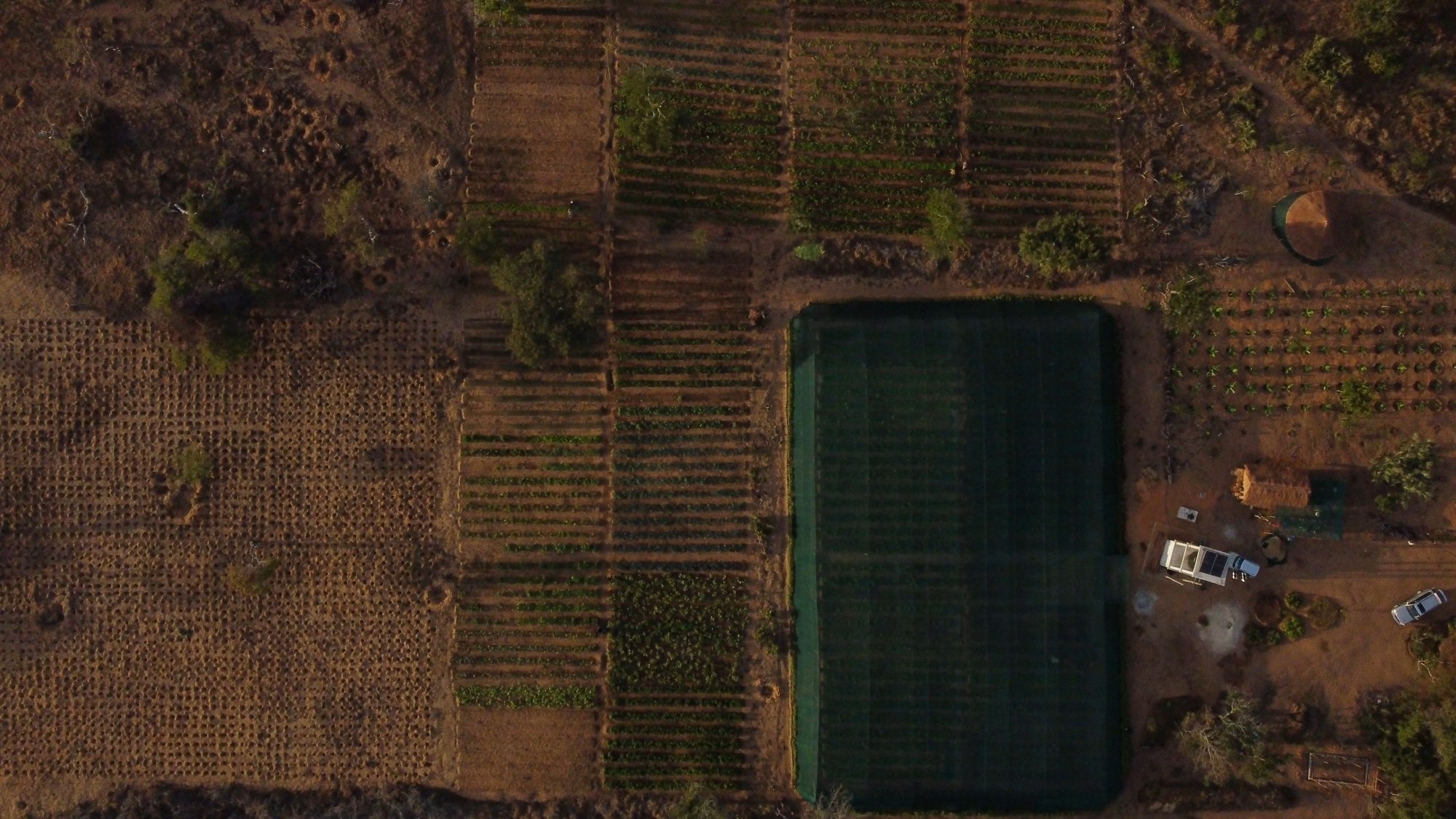 Aerial view of the Nhamanhate cooperative farm, which gives 30 fishing families an alternative livelihood