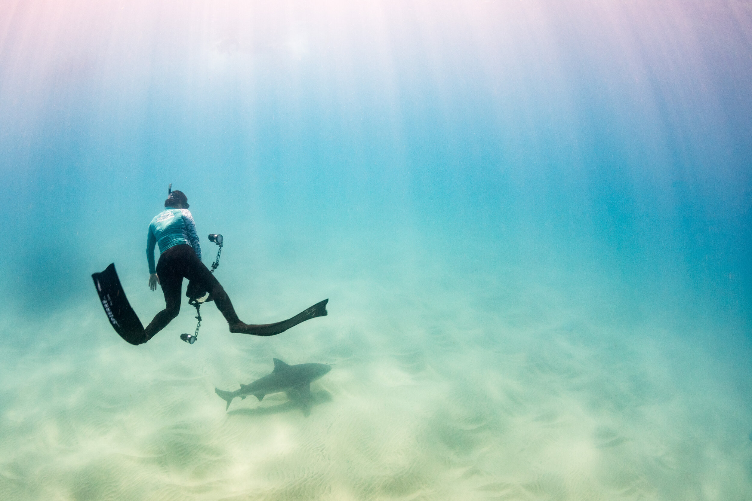 MMF co-founder Dr. Andrea Marshall snorkels with a bull shark during the inaugural MEGA Expeditions in 2019. Photo credit: Anna Flam, expedition leader and manta research manager