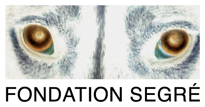 Fondation Segré