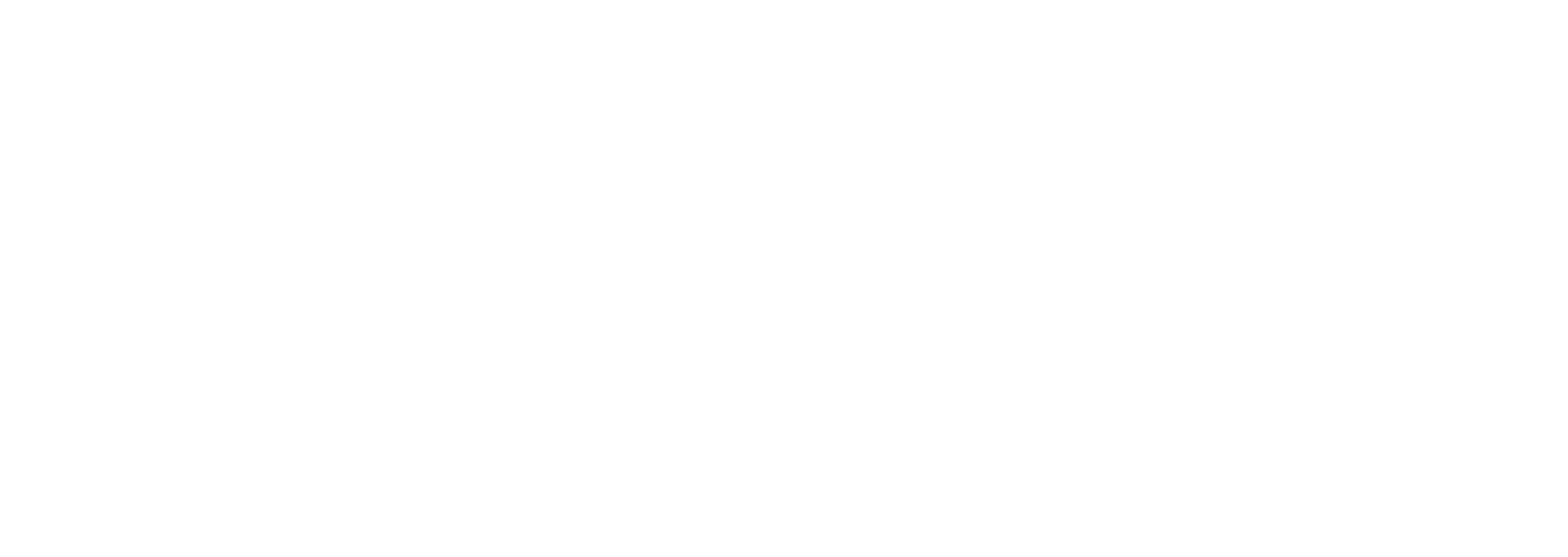 Marine Megafauna Foundation