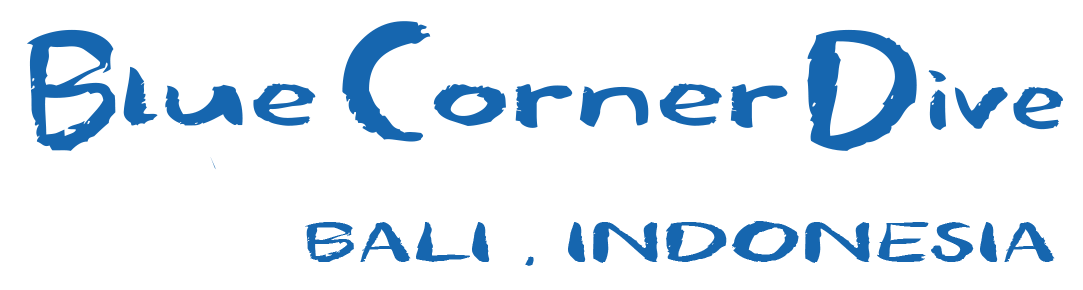 Blue Corner Dive & Conservation