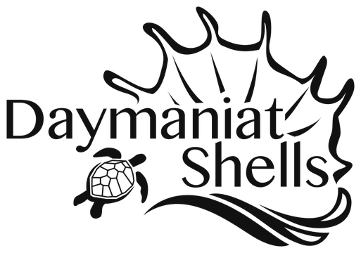Daymaniat Shells