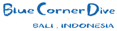 Blue Corner Dive & Conservation
