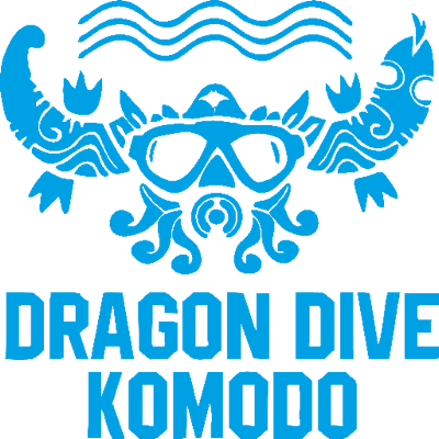 Dragon Dive Komodo