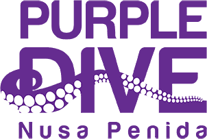 Purple Dive