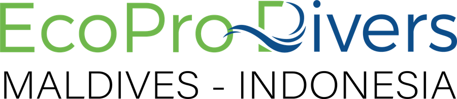EcoPro Divers