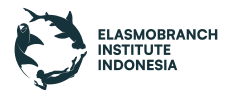 Elasmobranch Institute Indonesia
