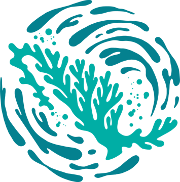 Cuidando los Mares de México A.C. (Mares de México)