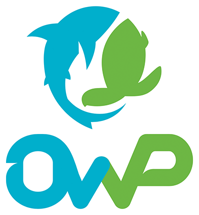 Ocean Wildlife Project