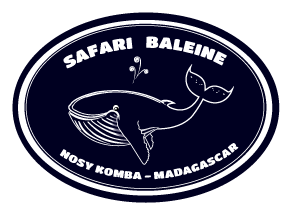 Safari Baleine