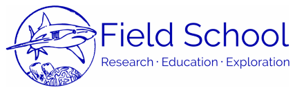 The Field School