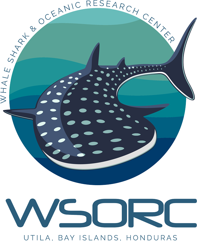 Whale Shark & Oceanic Research Center, Utila