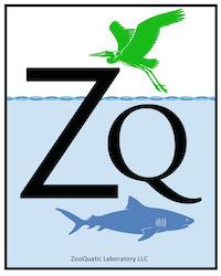 ZooQuatic Laboratory