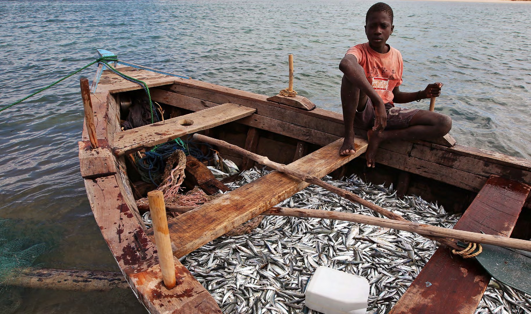 Artisanal fishers at work in Inhambane Province