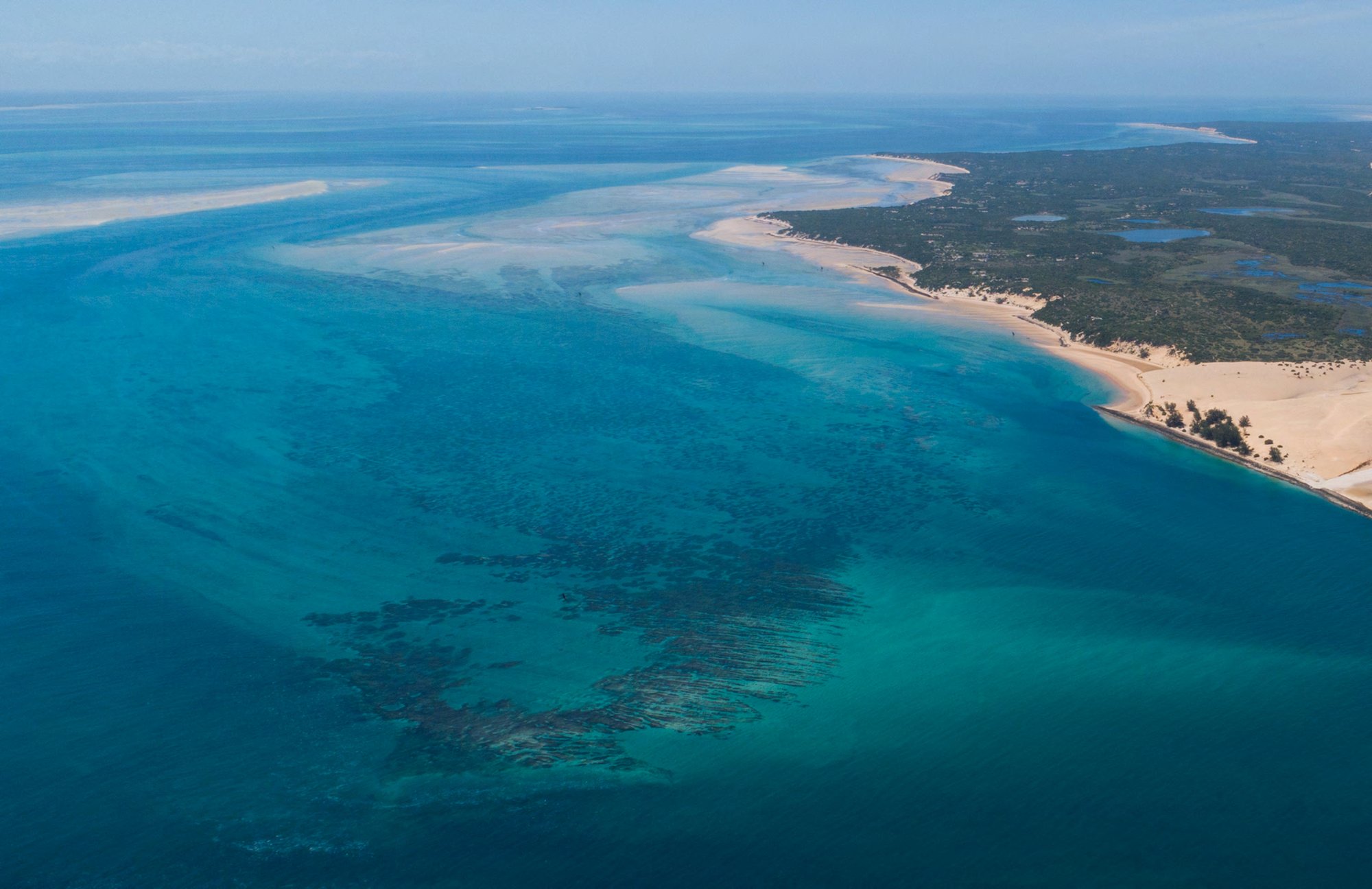 Reef manta rays along the southeast African coast