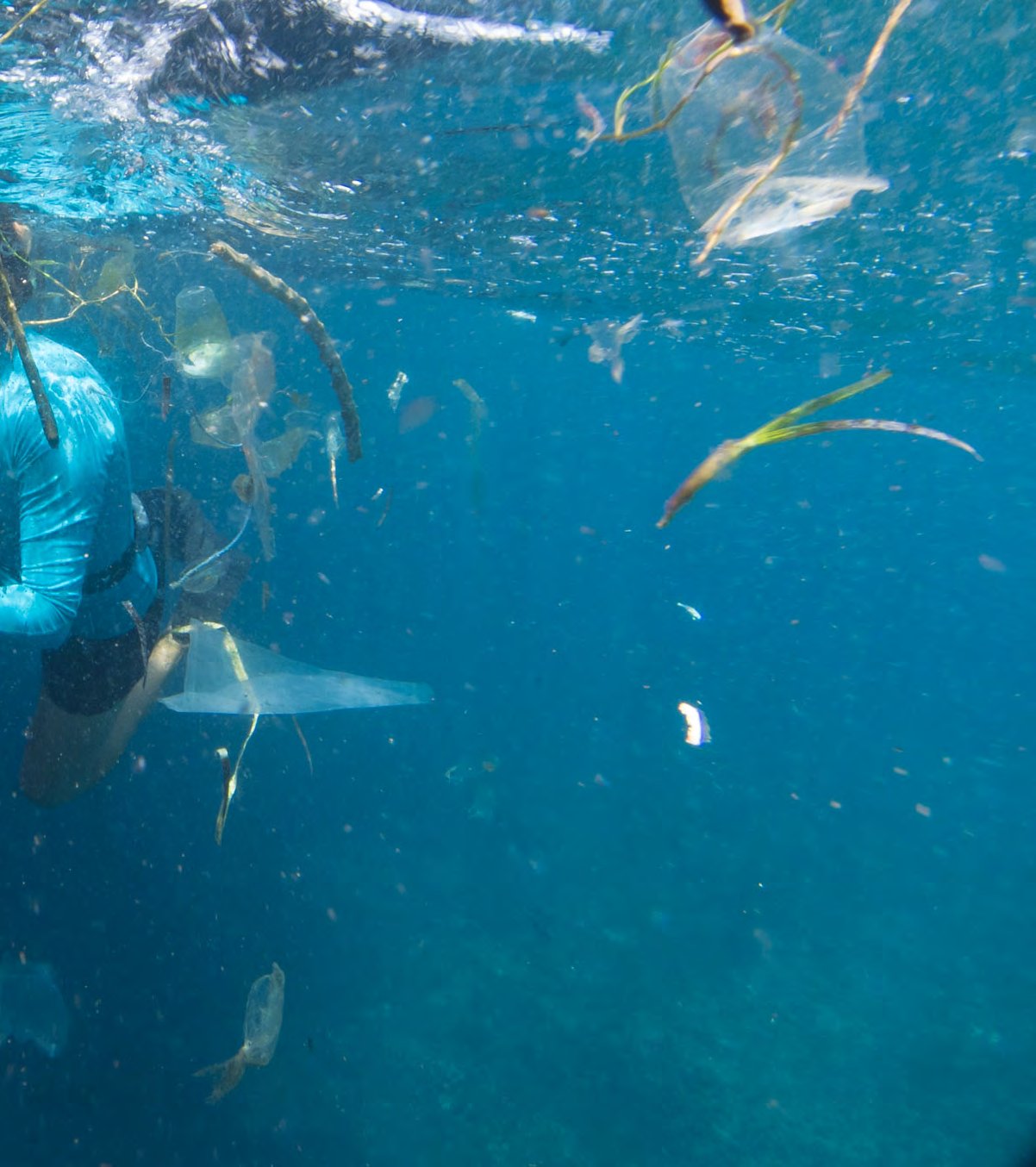 Lisa Auditore preparing to take a manta ray ID shot at Nusa Penida