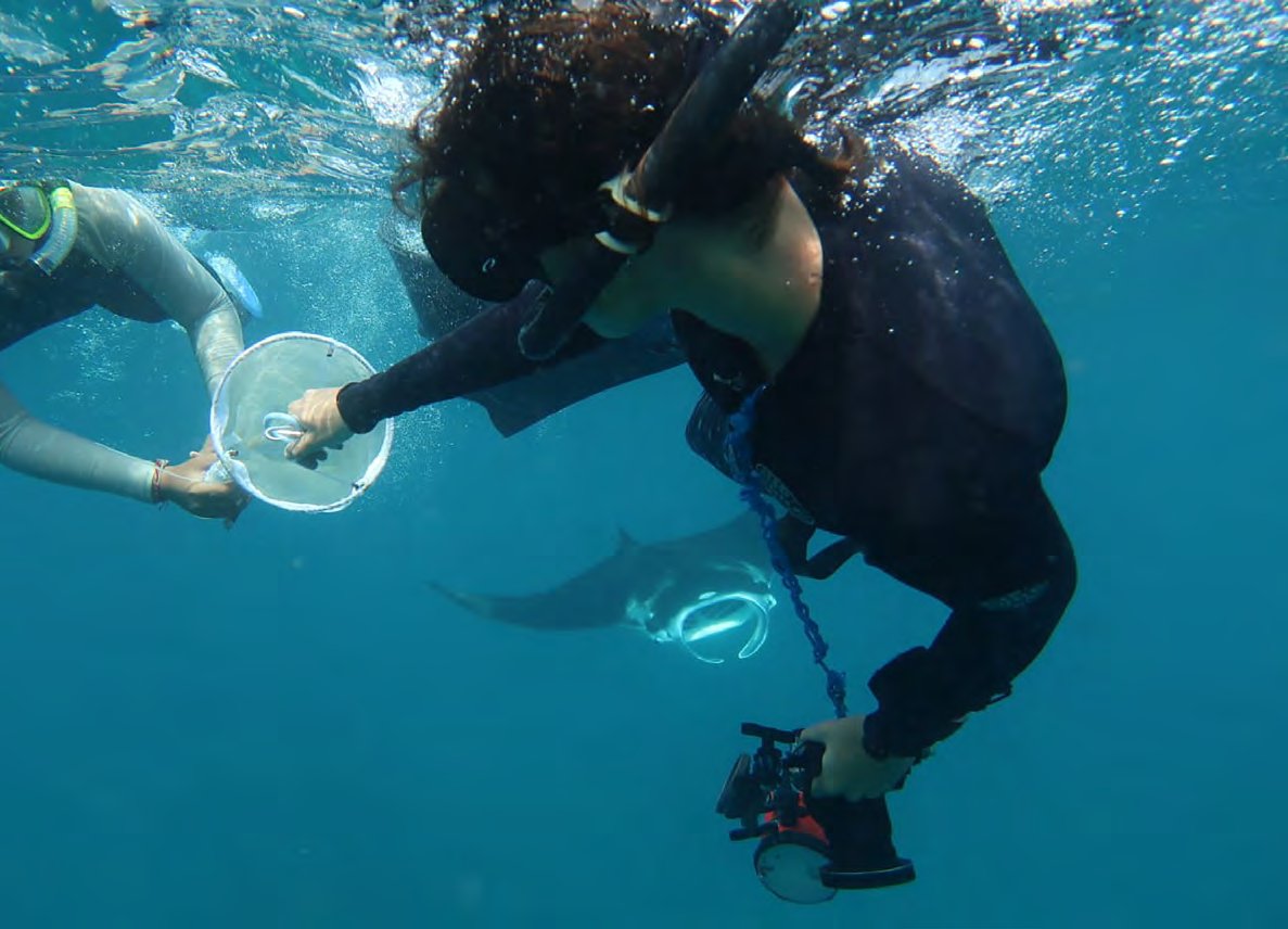 Elitza and Aprilia Trisaka collecting plankton samples