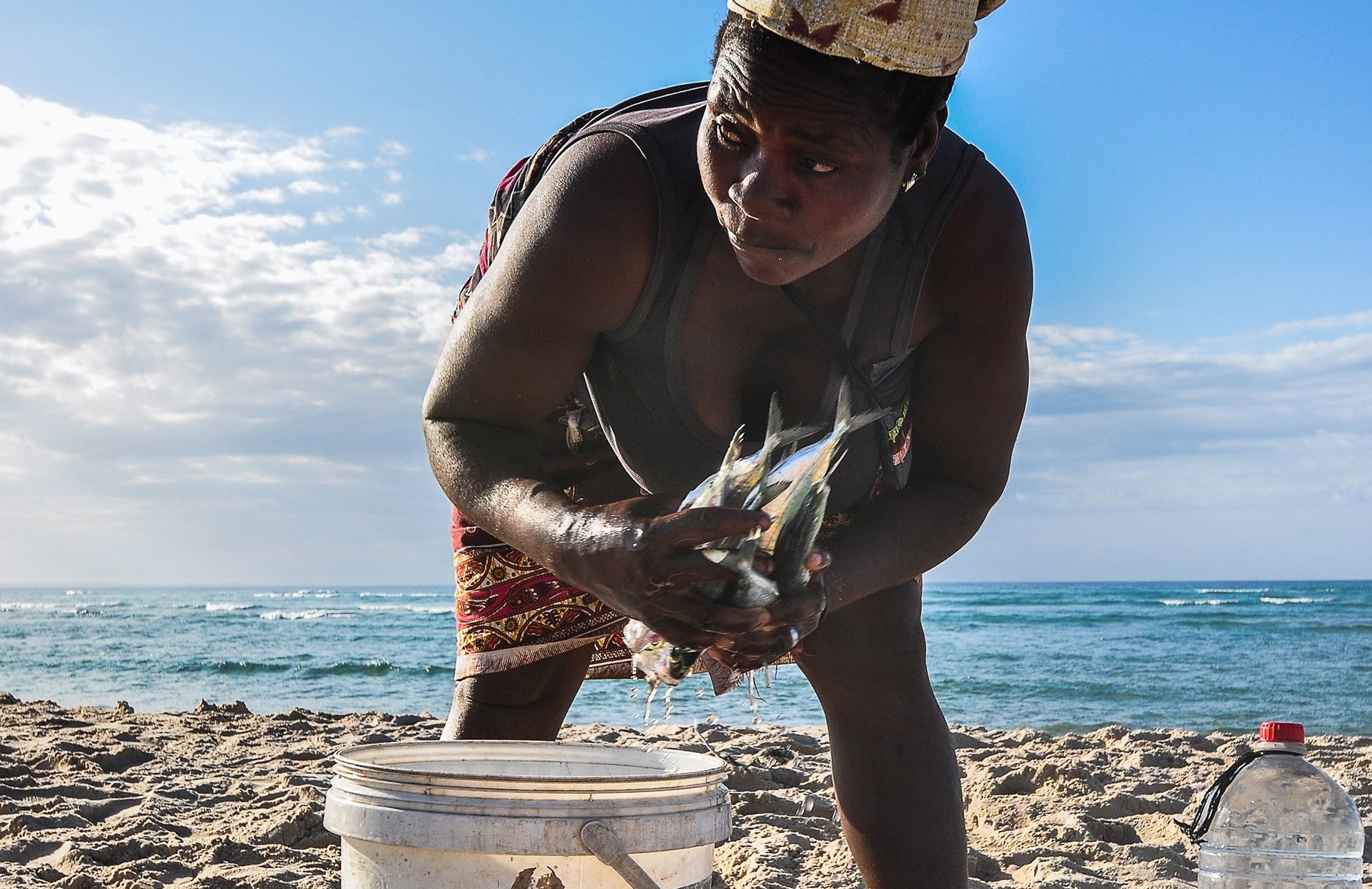 Reef manta ray sightings in southern Mozambique have declined by 98% since 2005